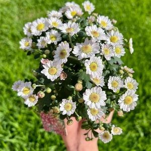 Meet your Posher, Johnny